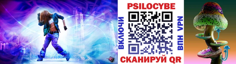 hydra ссылка Кадников Псилоцибиновые грибы Psilocybine cubensis