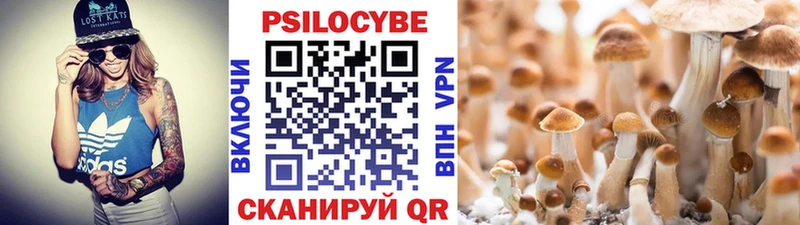 Галлюциногенные грибы Magic Shrooms Кадников