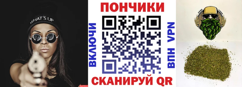 Бошки Шишки планчик  Кадников 